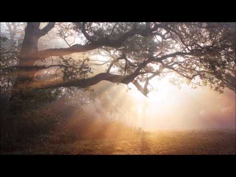 Illesnoise - #8 Moonlight Lovers