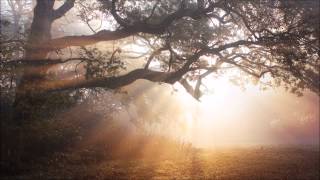 Illesnoise - #8 Moonlight Lovers