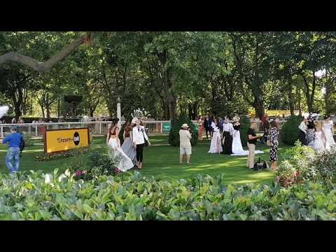 98.Magyar Galopp Derby - jártató