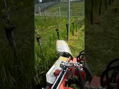 Scalzatore "Gold Plus" con Spollonatrice/Decespugliatrice - Ciancaglini Srl