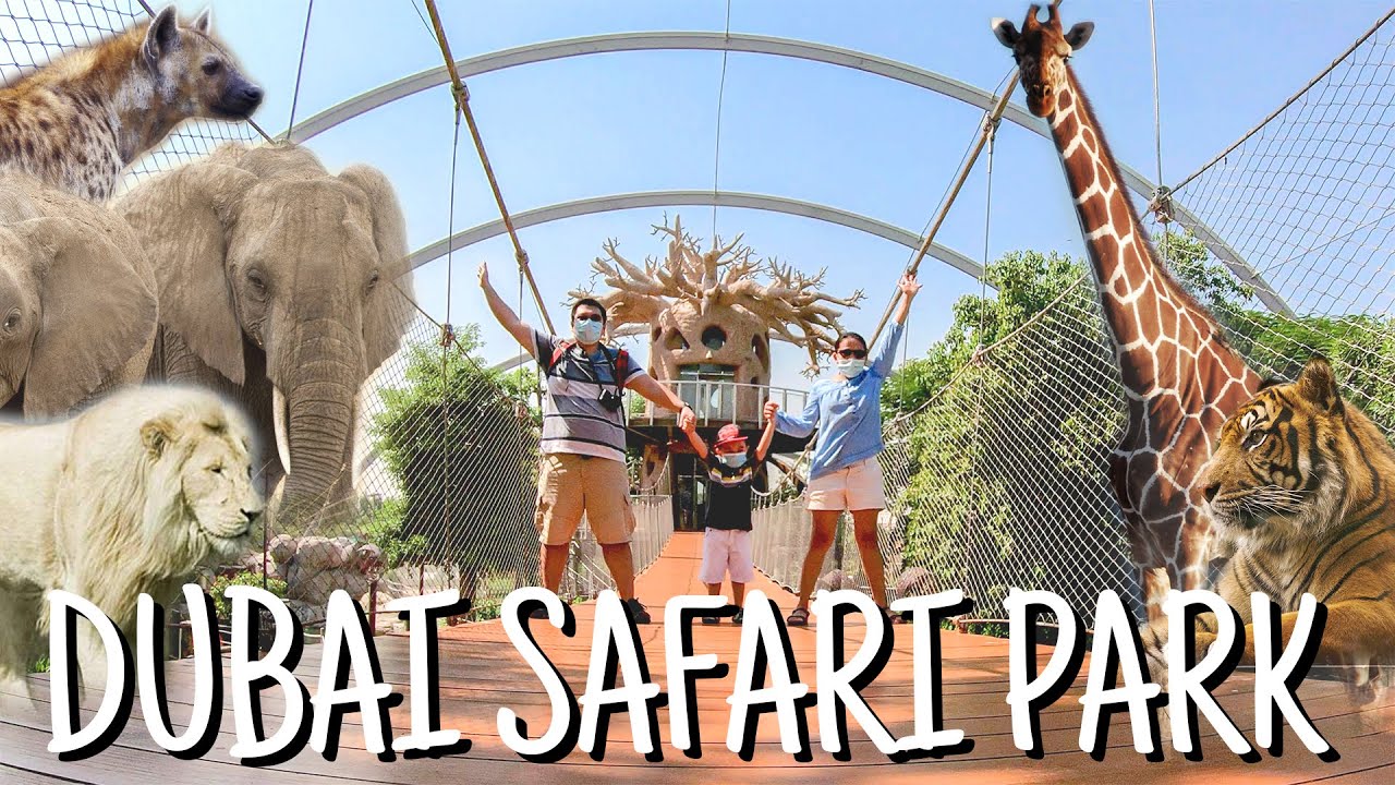 Join a family on an adventure through Dubai Safari Park.
