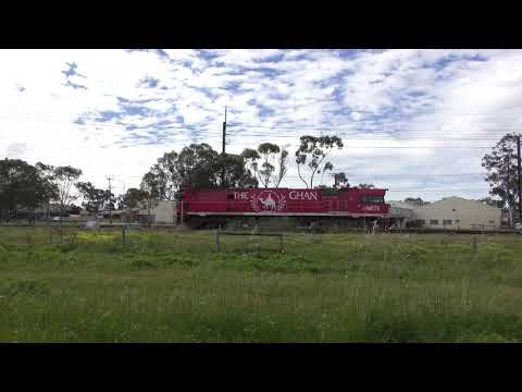 NR75 the Ghan  Light Loco