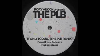 If Only I Could (The PLB Remix) - Fusion Groove Orchestra Ft. Steve Lucas