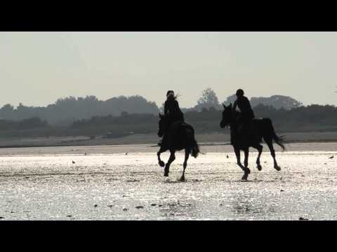 vacances à la playa