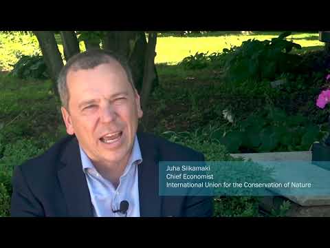 SEEA Ecosystem Accounting and the Global Biodiversity Agenda