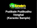 Pudikale Pudikudhu Karaoke Venghai