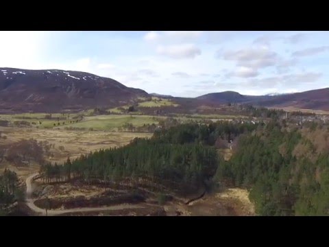Aerial view (HD) above the woodlands of Braemar in the Scottish highlands.