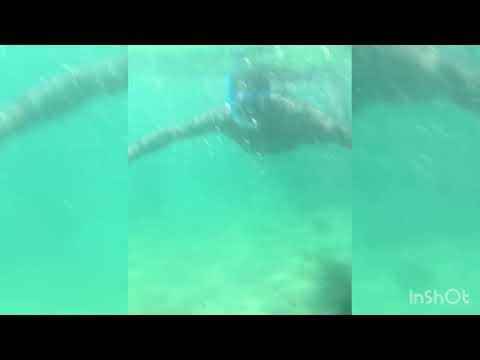 Nossa aventura dessa vez foi na praia dos coelhos.   🏖 🌊💙🇵🇹