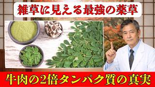 75歳も実践！モリンガで変わる毎日の健康習慣とは |シニア健康