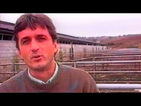 1991.12.00. - Novska - Pokradena farma u Popovcu