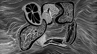 видео-автопортрет