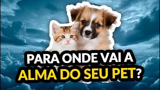 Pra onde vai a alma do meu pet? | Ep. 417 Diário do Médium