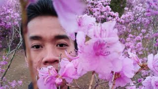 Download lagu Suratan Rhoma Irama Cover Suling mp3