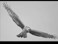 Blackbird - Brad Mehldau And Anne Sofie Von Otter ...