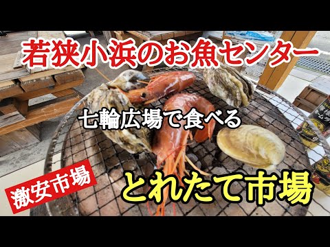 Centro de pescado Wakasa Obama #Delicioso #Shichirin #Si quieres comprar pescado en Obama, prefectura de Fukui, ¡ve al Centro de pescado Wakasa Obama! Puedes comprar marisco fresco y comerlo a la parrilla en el acto.