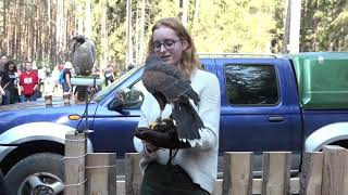 Den lesní techniky Hradec Králové