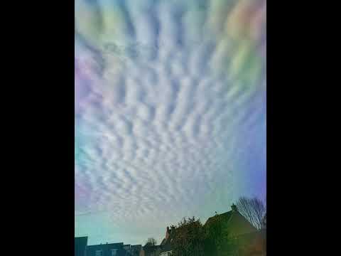 Bounce Enforcerz Brothers Silhouettes