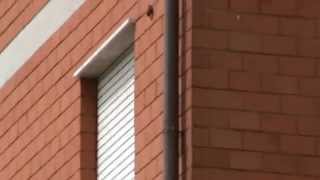 FINALMENTE LIBERO!!!!!  BUONA VITA!!