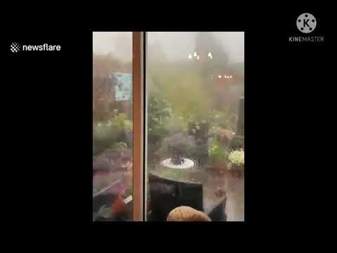 Dutch garden wrecked in an instant as tornado-like winds hit Utrecht town #น่ากลัวพายุ