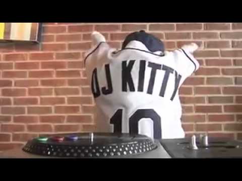 Gato DJ