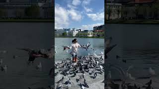 Download lagu DIKO INAKALA GANUN MANGYARI😬BERGEN NORWAY🇳🇴❤️ #fun #trending |Babaing Dabawegian mp3