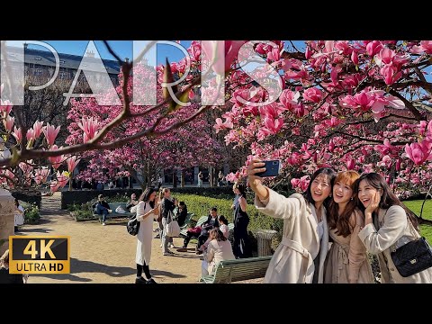 [🇫🇷Paris France 4K 120FPS Walking Tour] Beautiful Spring Walk in Paris   04/March/2026