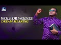 Wolf or Wolves Dream Meaning - Biblical Interpretation and Symbolism