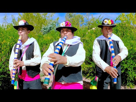 Chacareros de Parcialidades C.P. Titilaca - Zona Lago - Platería | Tema: En que Momento te Conocí