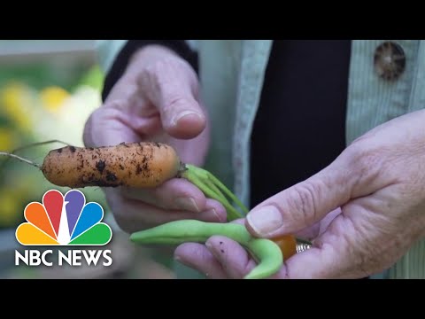How Smokers Are Using Psychedelics To Help Them Quit For Good