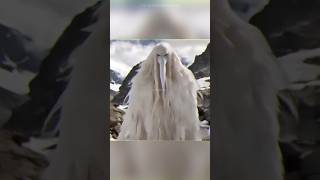 Download lagu 3 Most Terrifying Bird Sounds! The Last One Will Shock You! mp3