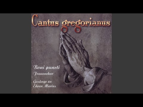 In Festo Assumptionis B.M.V. - IV. Offertorium: Assumpta est Maria