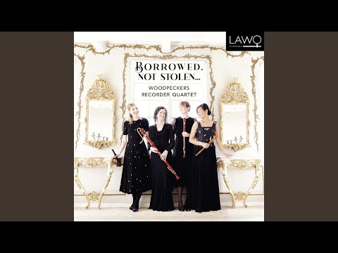 Concerto in G Major, TWV 40.210 (Arr. for Recorder Quartet by Andrea Bornstein) : II. Allegro