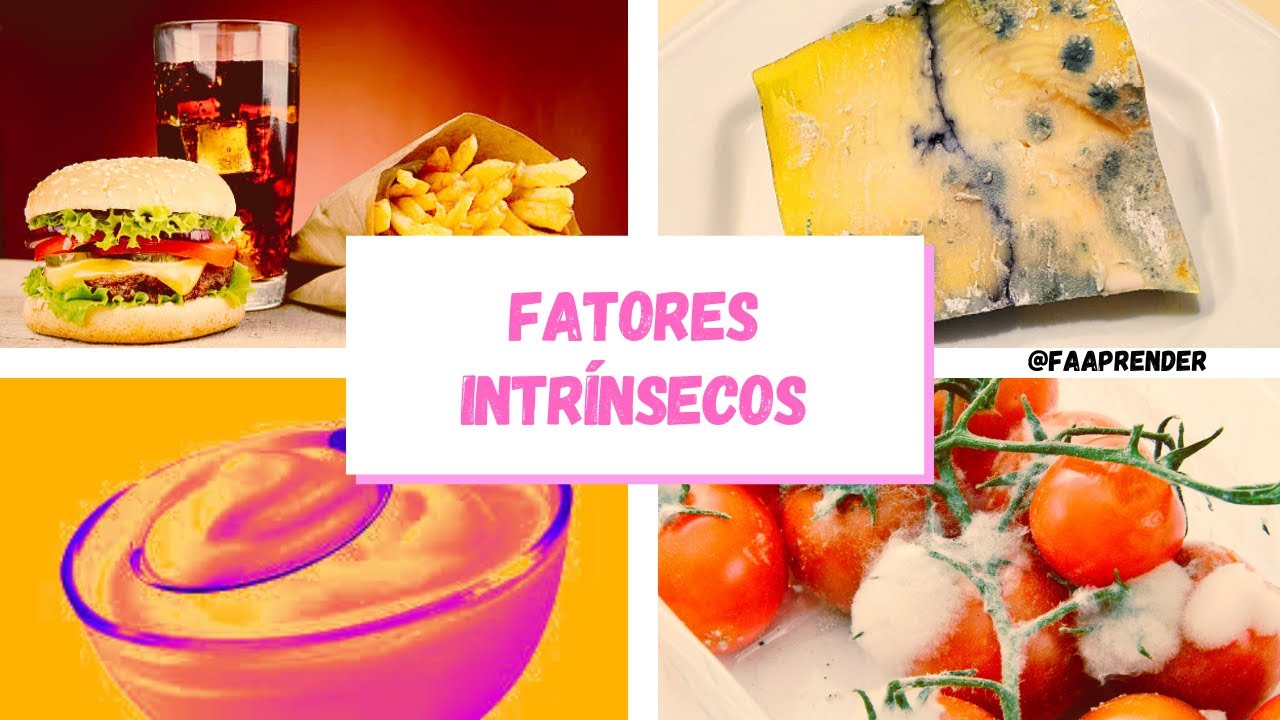 Fatores intrínsecos dos alimentos