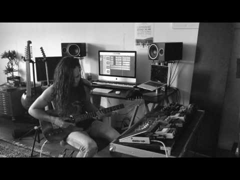 Aline Guitar Cover (GUITARS ONLY)