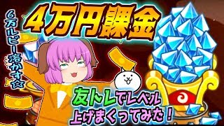 【ゆっくり実況】新春友トレ祭り開催！4万円課金すると友トレでどれだけキャラを強化できるか試してみた！！【城とドラゴン#8】
