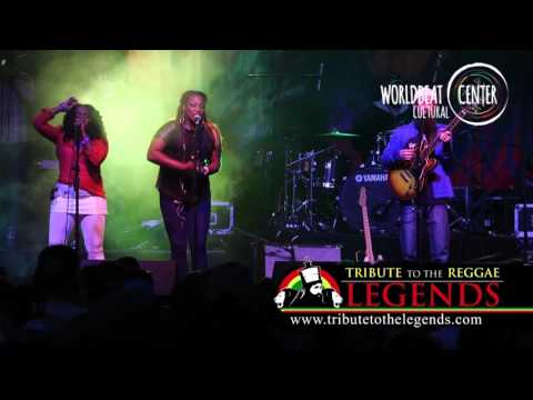 Groundation performing at Legends Festival 2015