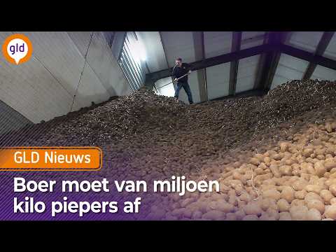 GLD Nieuws 20 februari 2026
