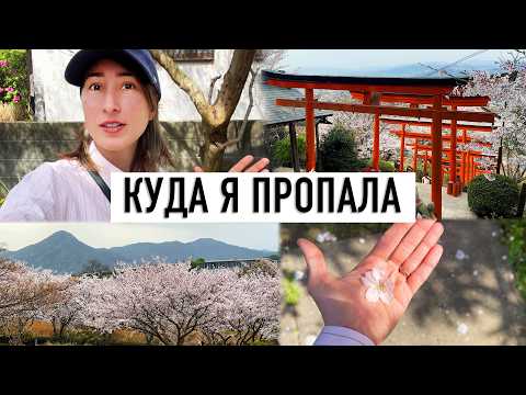 youtube-旅・海外記事2026/01/29 22:24:47