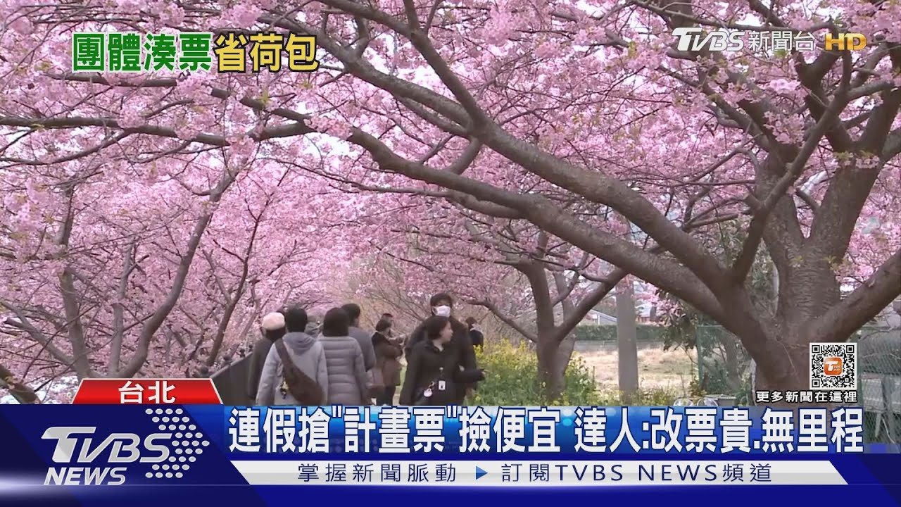 連假搶「計畫票」撿便宜　達人：改票貴、無里程