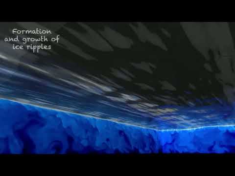 Flow Visualization of Ice-Water Morphodynamics in Turbulent Shear Flow