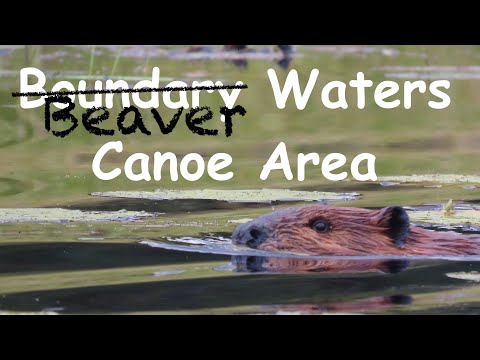 BWCA Moose River Loop