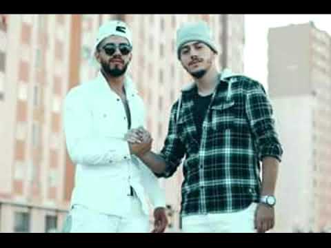 HARMONIKA - ZED x PINE