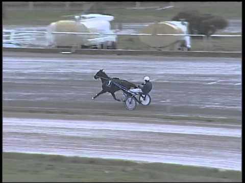 Trotto 22/02/2015 - Prova di riqualifica