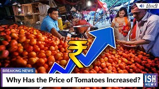 Why Has the Price of Tomatoes Increased?