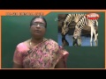 Bio GEO Chemical Cycle Biology 9th Std Science