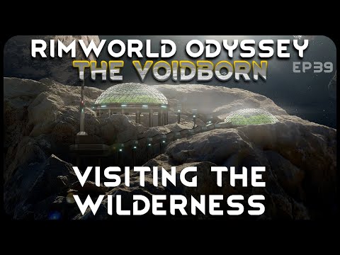 Visiting the Wilderness in The Voidborn // Starjacks Reclaim The Stars //EP39