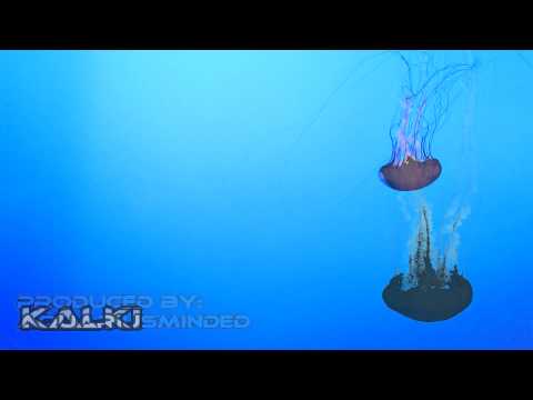 Overplane - AquariusMinded, Si-Klon, Kalki, Wormhole