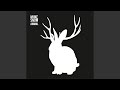 Animal Punks Jump Up Remix
