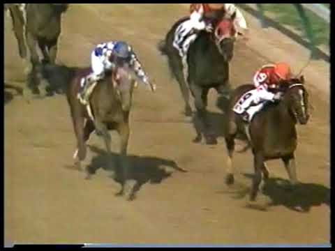 Horse Racing - 1987 - Kentucky Derby - Replay Of The Race With Isolation Camera On Winner Alysheba