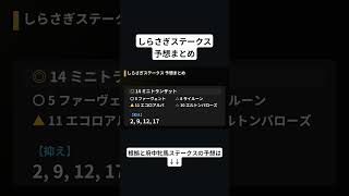 しらさぎステークス　予想まとめ